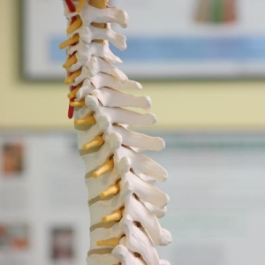 Spine Cervical and Upper Thoracics